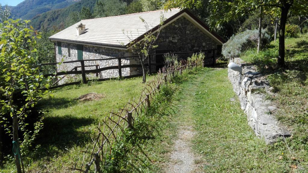 Agriturismo Il Mulino Stibiveri Екстер'єр фото